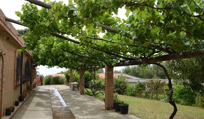 Agriturismo Calabria - 5